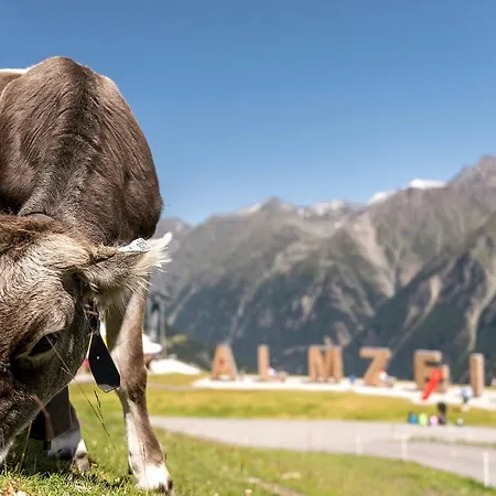 Castello Otr031007 Cya Σπίτι διακοπών *